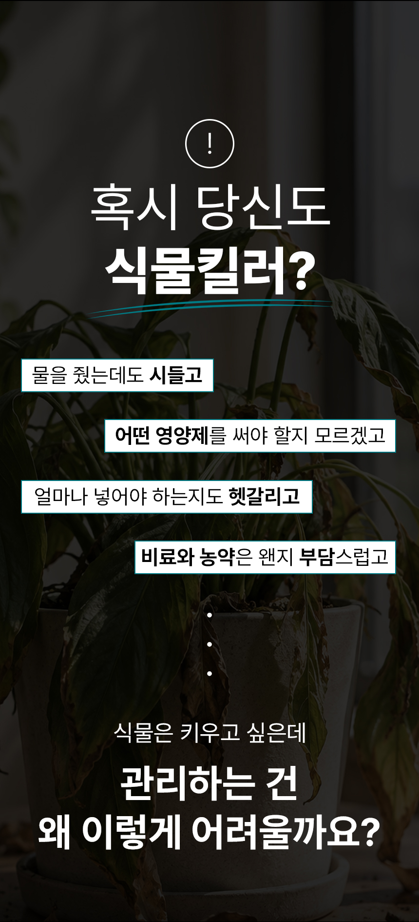 상세페이지 | 바실리 바이오코인 — 2