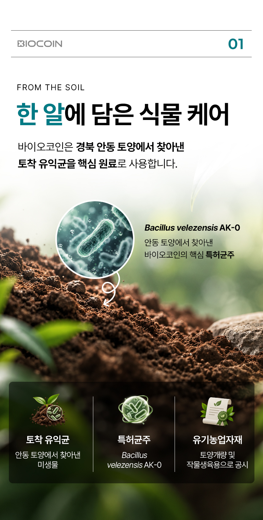 상세페이지 | 바실리 바이오코인 — 5