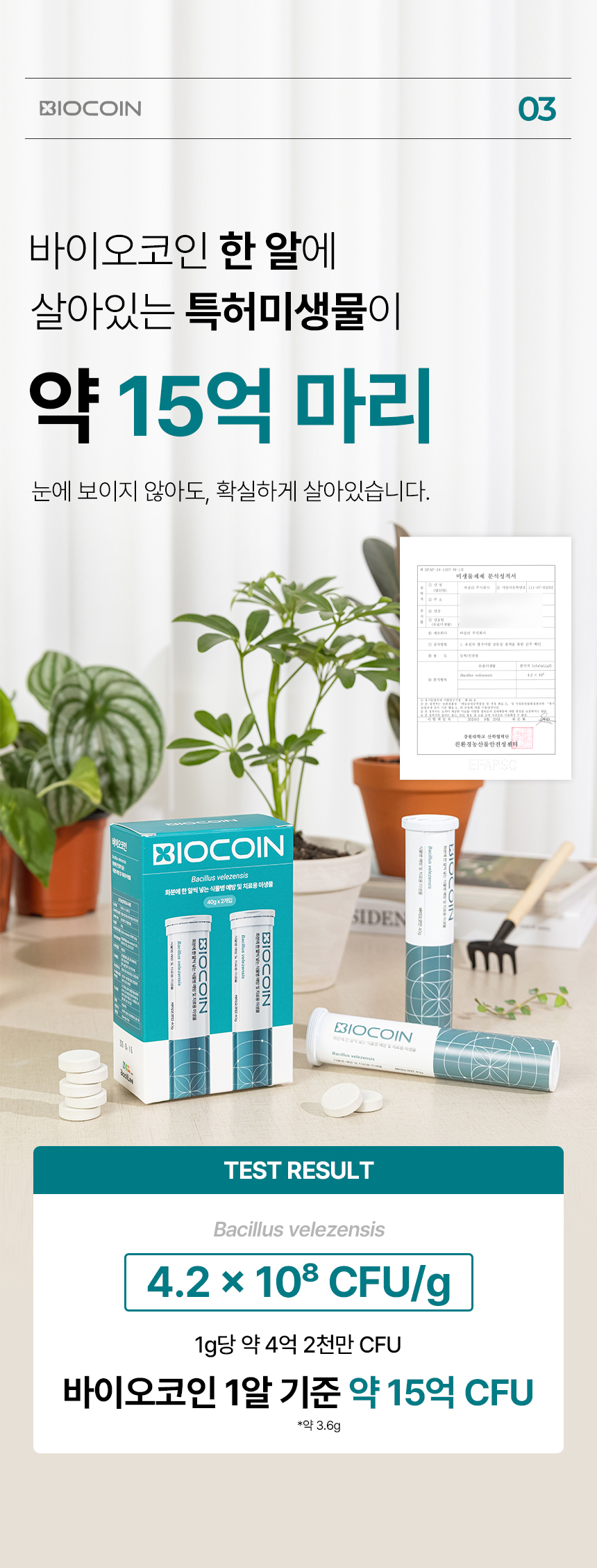 상세페이지 | 바실리 바이오코인 — 13