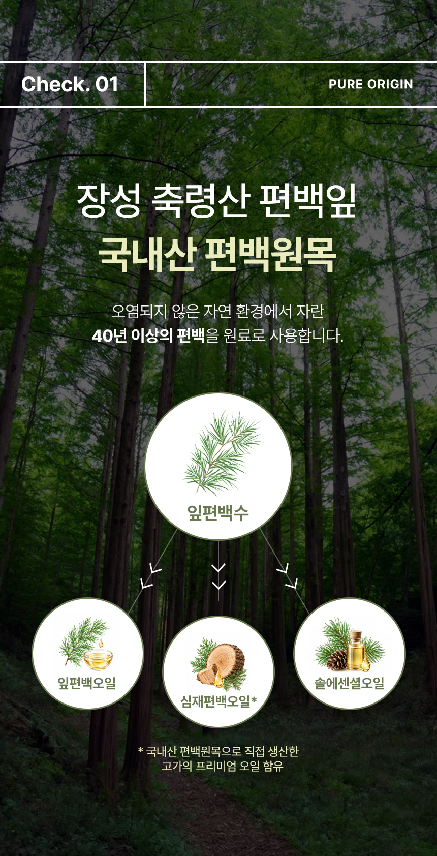 상세페이지 | 미미지엘 피톤치드 편백수 원액 — 14
