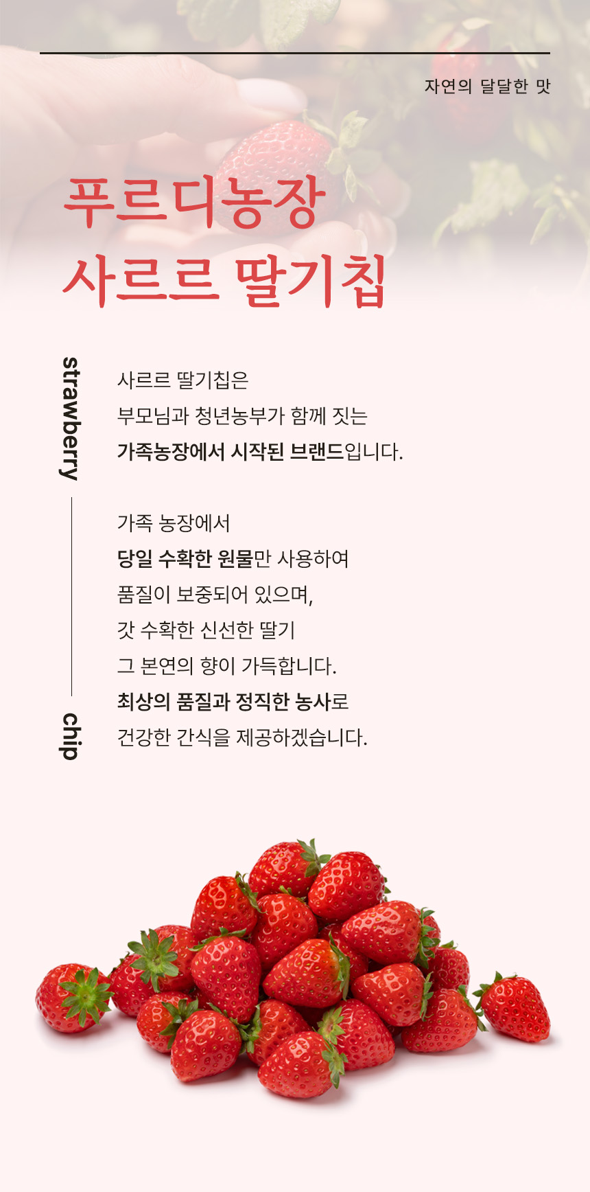 상세페이지 | 푸르디농장 사르르 딸기칩 — 4