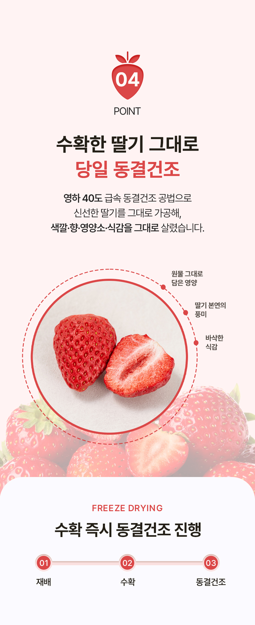 상세페이지 | 푸르디농장 사르르 딸기칩 — 8